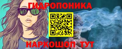 spice Славгород