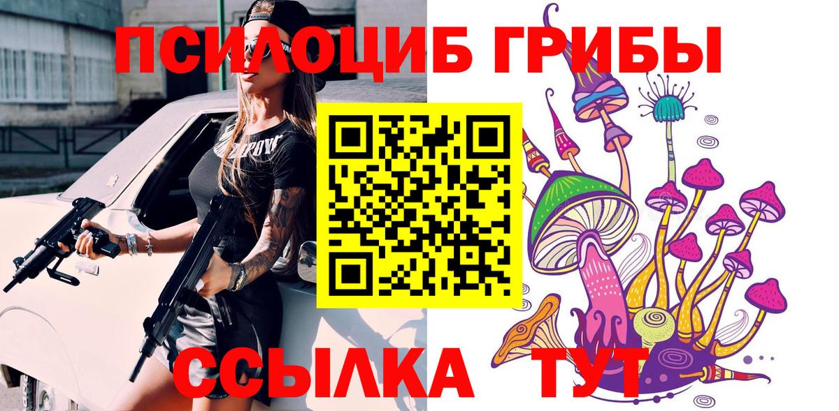 Псилоцибиновые грибы Psilocybe  Вход с VPN  Партизанск 