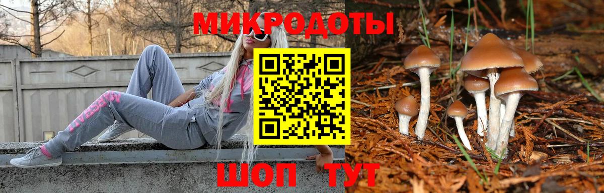 Галлюциногенные грибы MAGIC MUSHROOMS Партизанск
